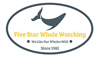 Five Star Whale Watching